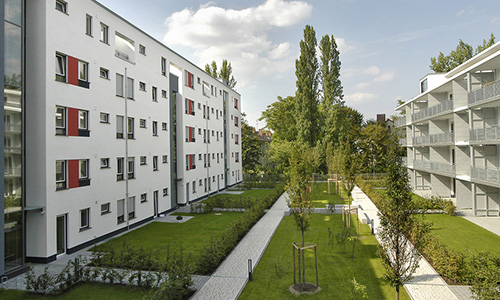 Außenanlagenreinigung- und pflege